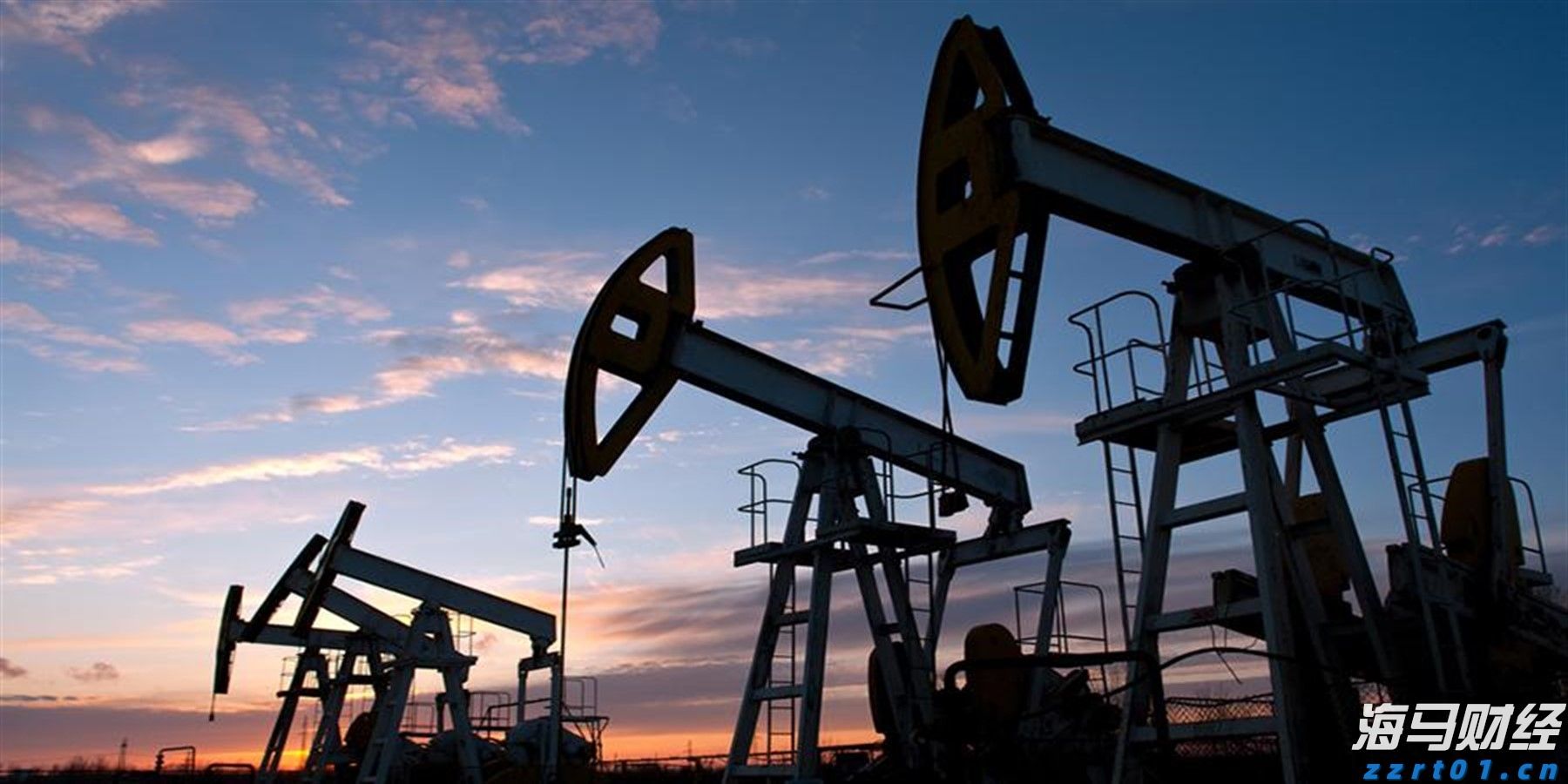 我市举行发展外向型经济工作情况专题协商座谈会