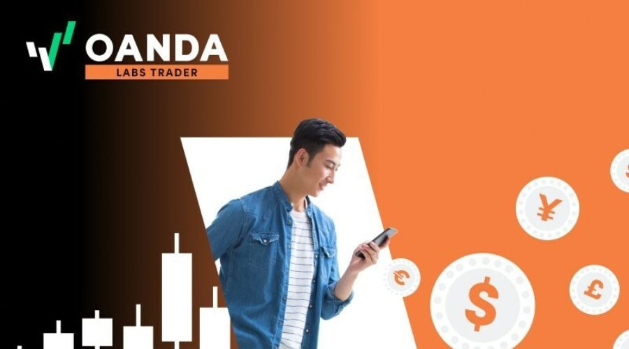 工行长丰支行暖心服务聋哑客户 无声交流传递金融温度